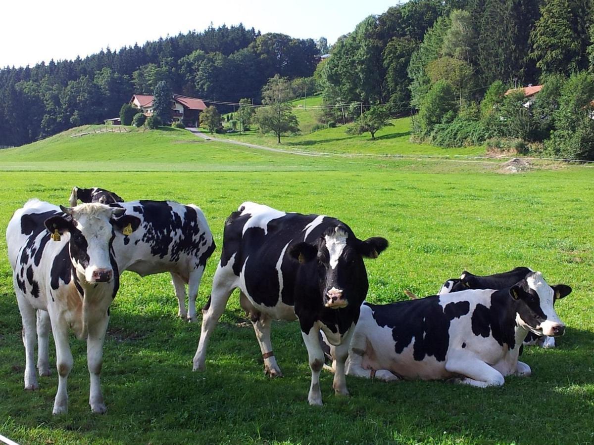 Zwischen Chiemsee Und Bergen Ug Bernau am Chiemsee Ngoại thất bức ảnh